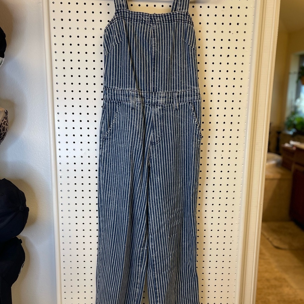 Universal Thread Blue Striped Jumpsuit